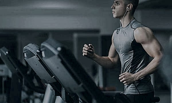 Plus Gym